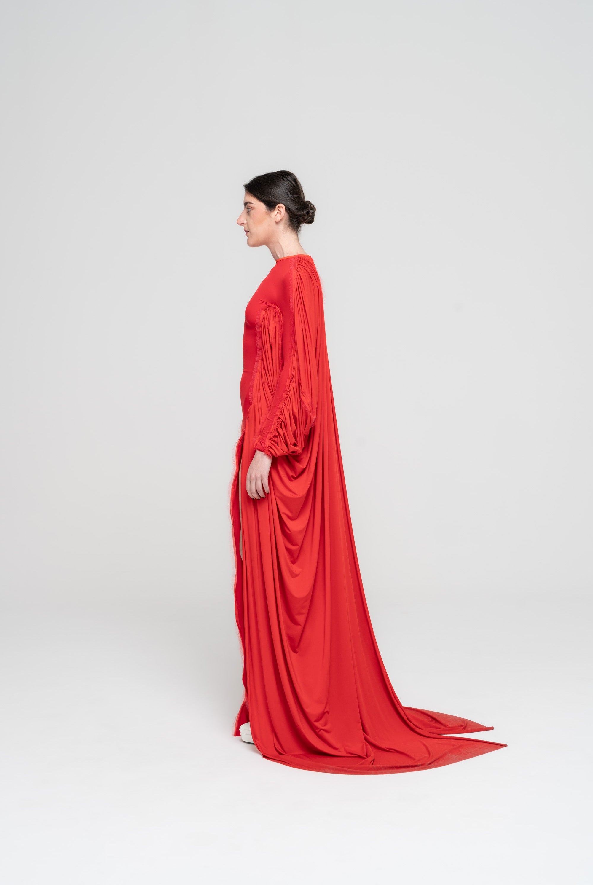 The Phoenix Dress - 3