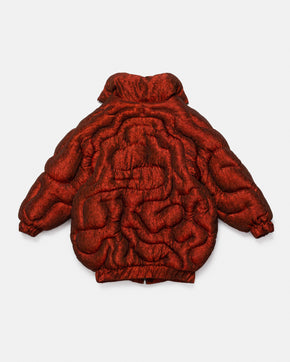 The Brain Jacket