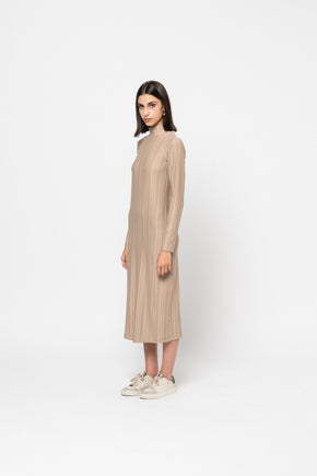 The Classic Beige Turtleneck Dress